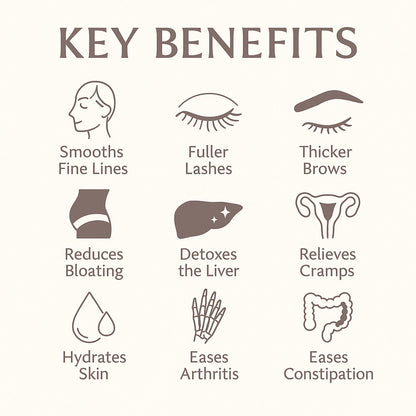 Vexivo® Castor Oil Belly Pack