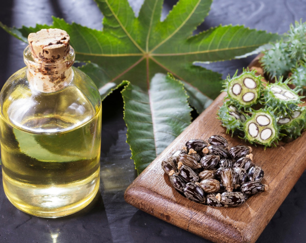 Vexivo 100% Organic Castor Oil Pack Starter Kit